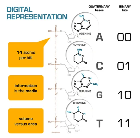DNA Data Storage